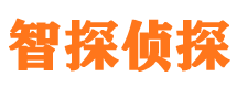 麻栗坡市私家侦探